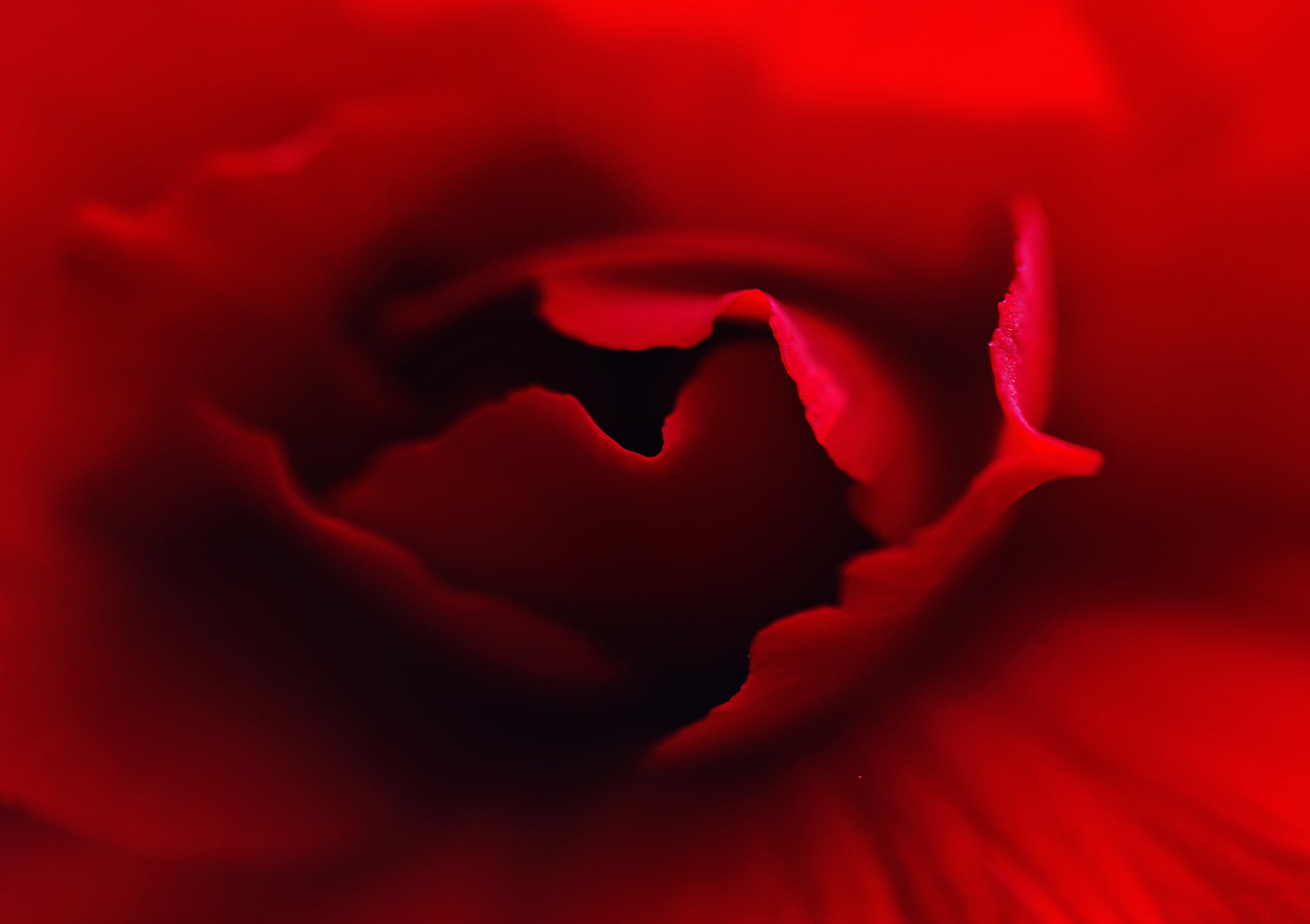 collection-banner-image