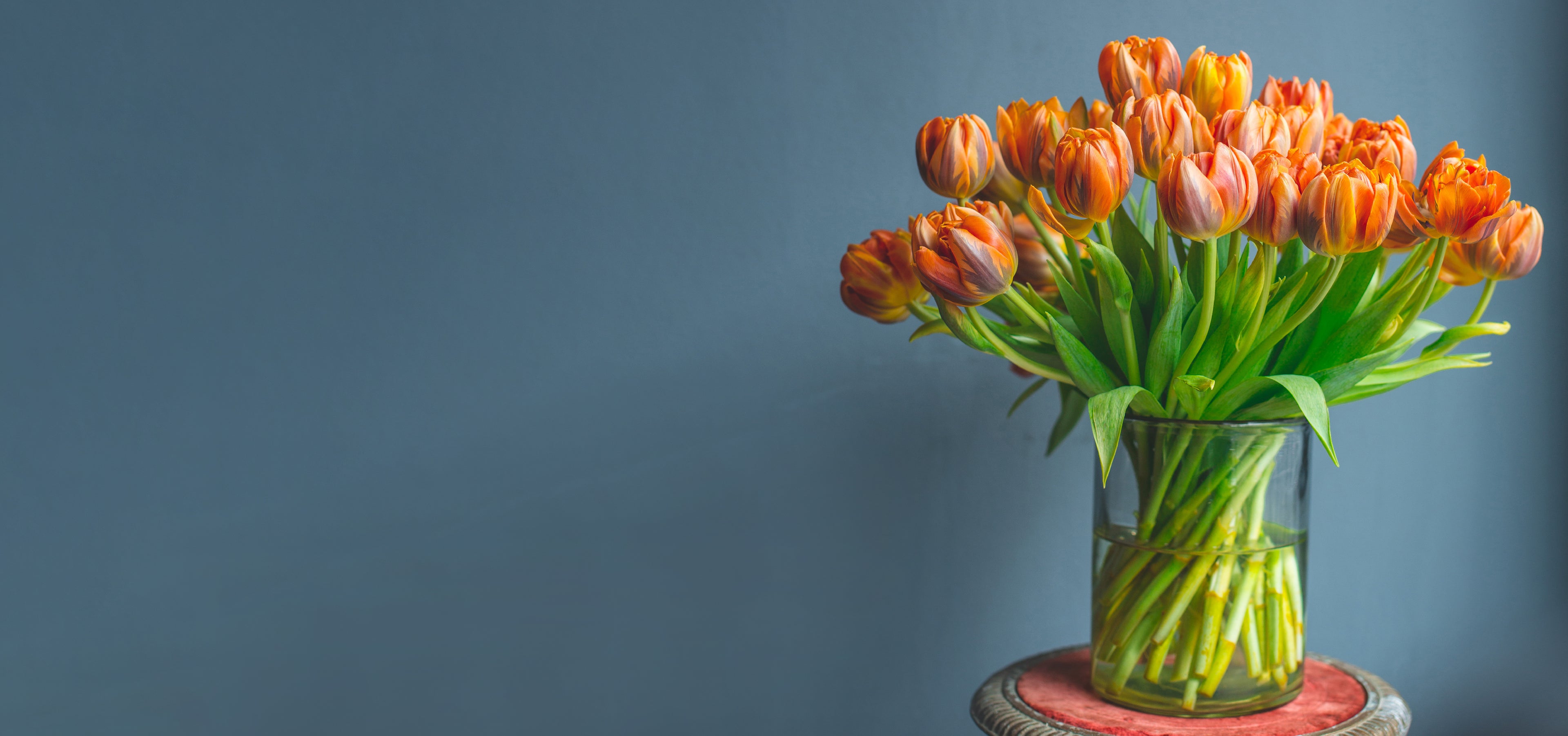 Flowers Orange roses BANNER--04 Mobile ورد 1621243260e1af0c20-1