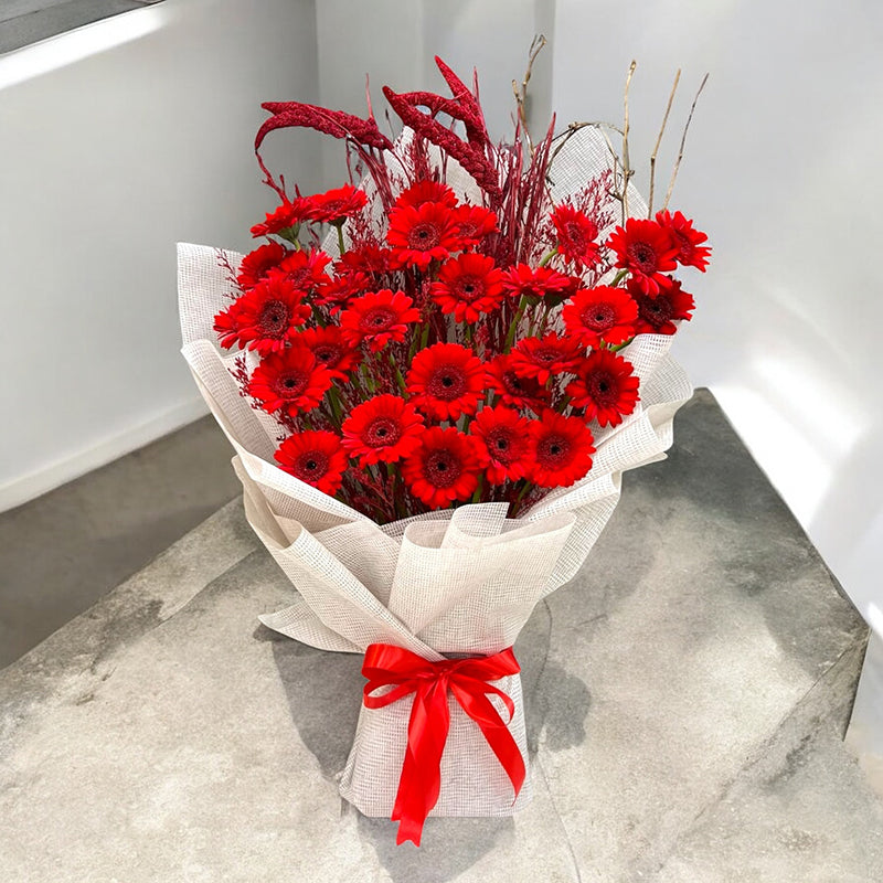 Red Elegance