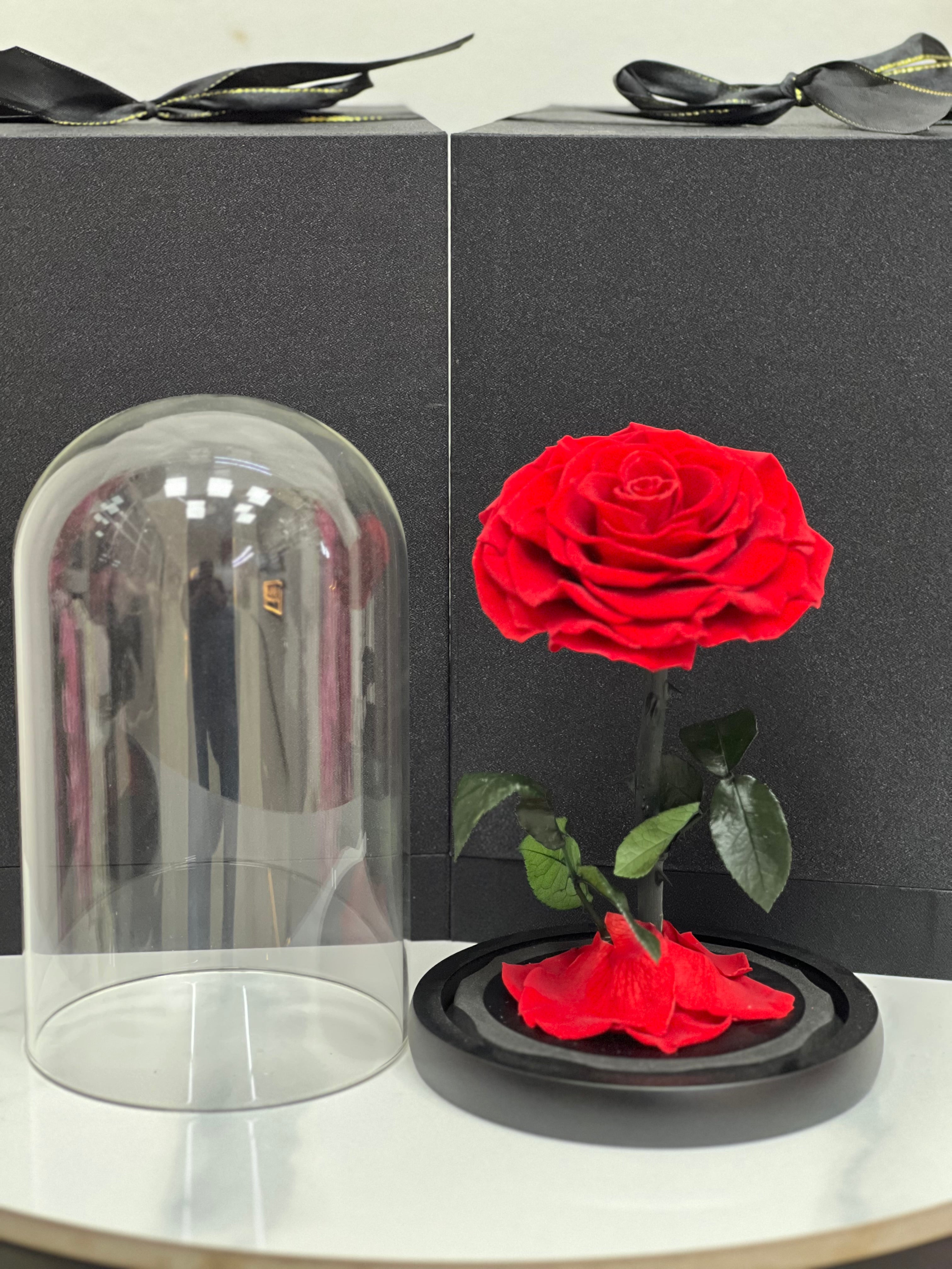 Eternal Scarlet – Red Infinity Rose 🌹✨