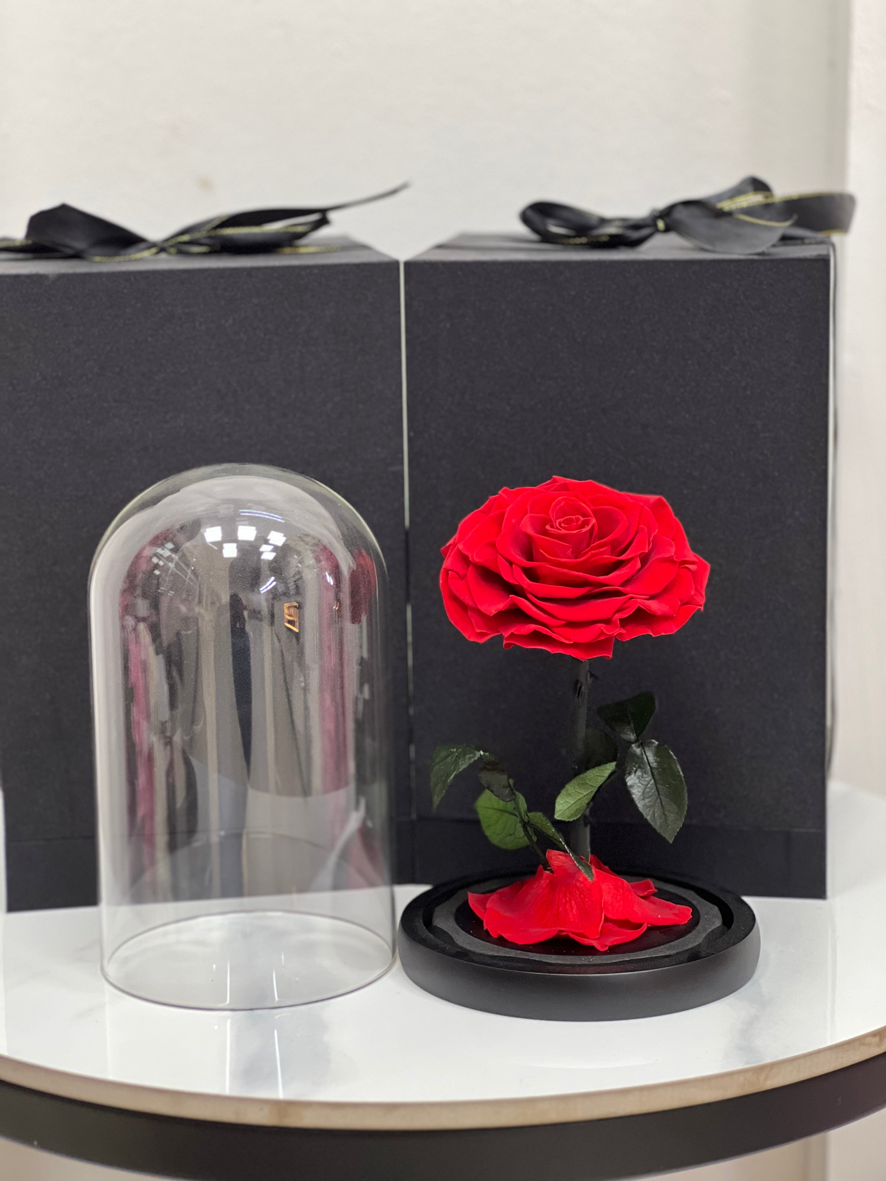 Eternal Scarlet – Red Infinity Rose 🌹✨