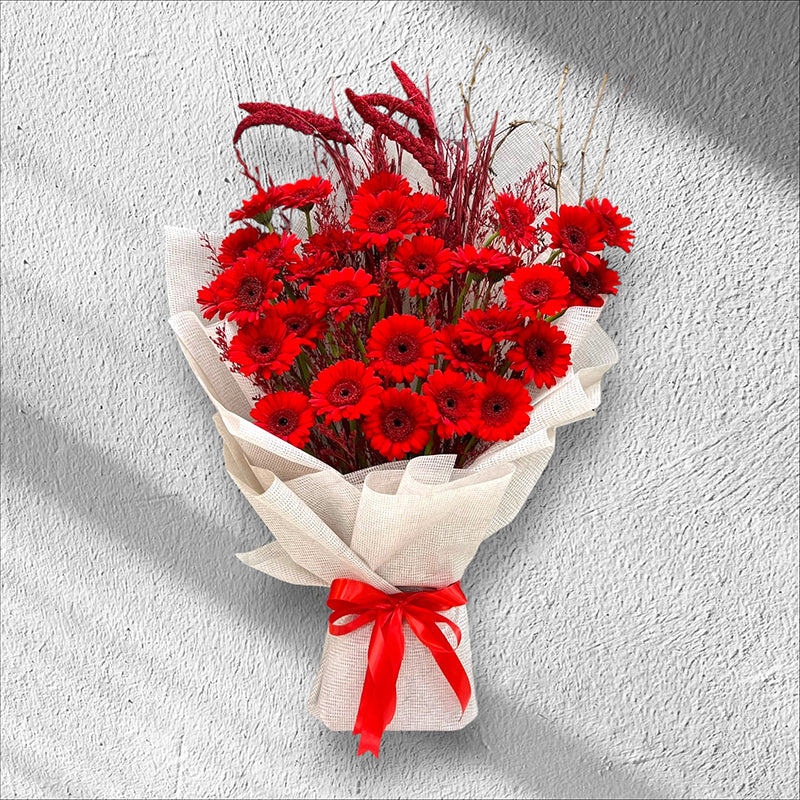 Red Elegance