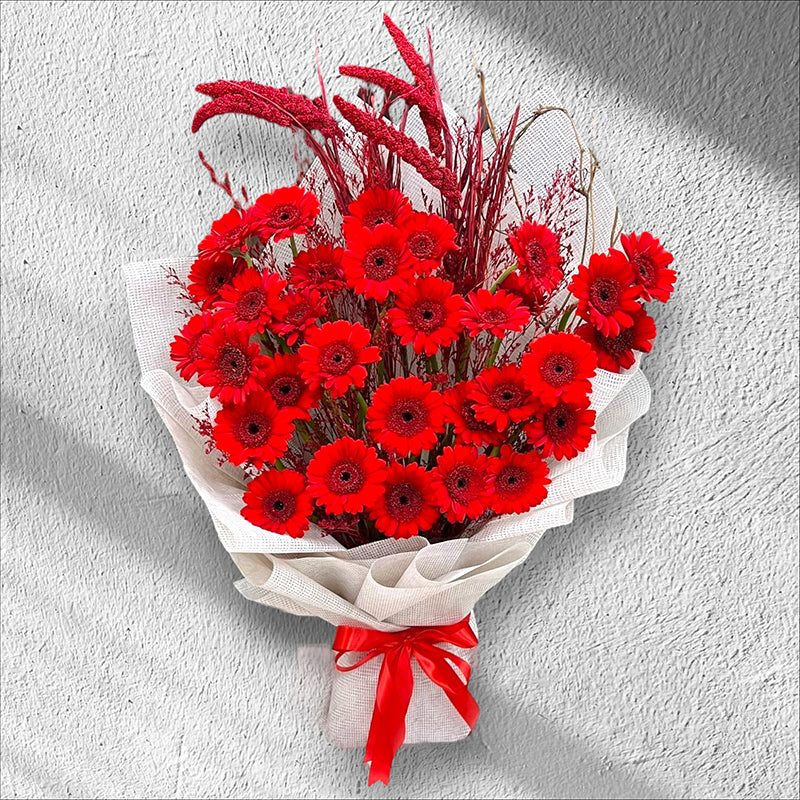 Red Elegance