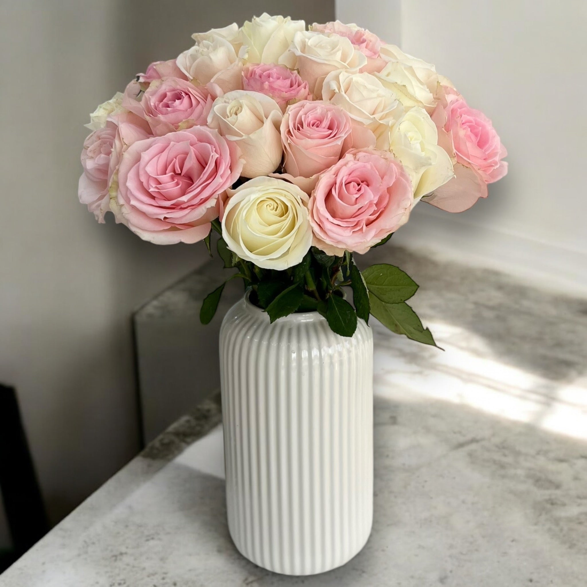 Blush Harmony Roses