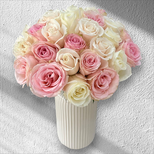 Blush Harmony Roses