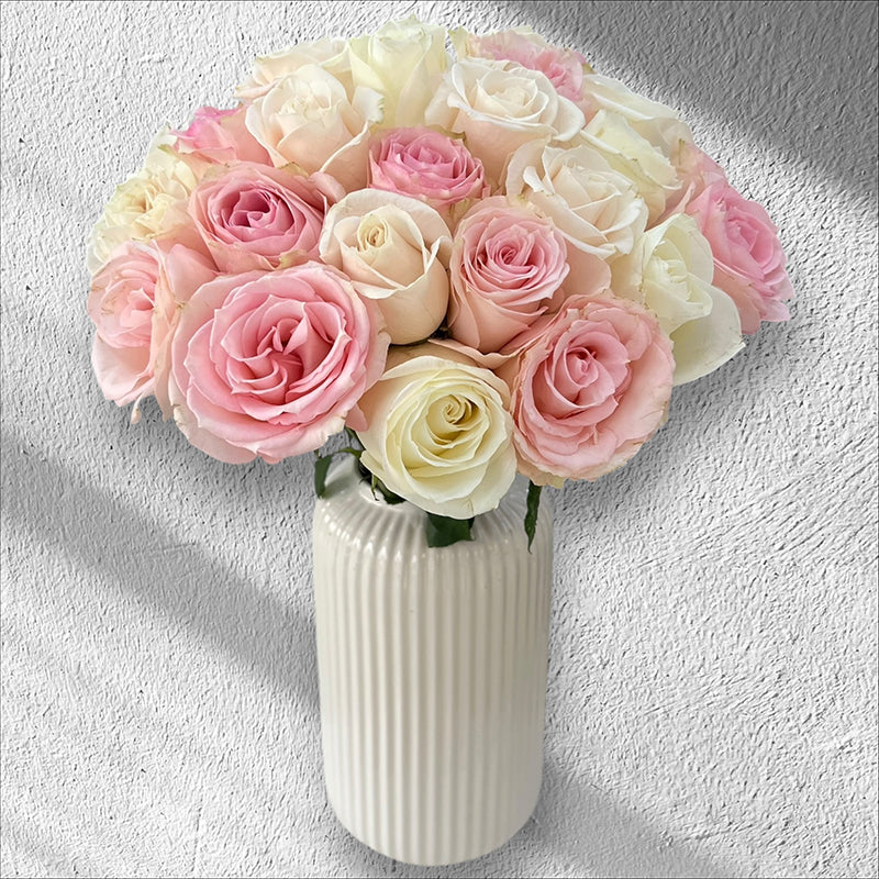 Blush Harmony Roses