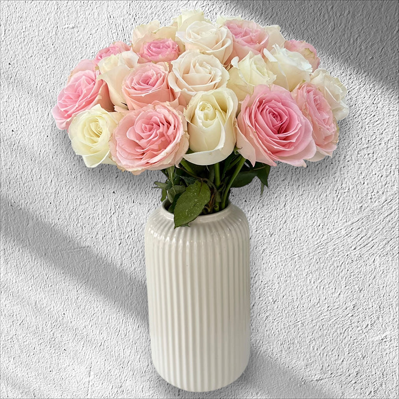 Blush Harmony Roses